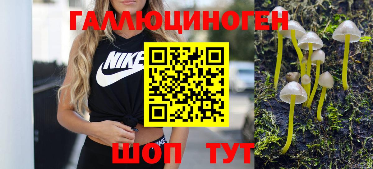 Псилоцибиновые грибы MAGIC MUSHROOMS  Вход с VPN  Озёрск 